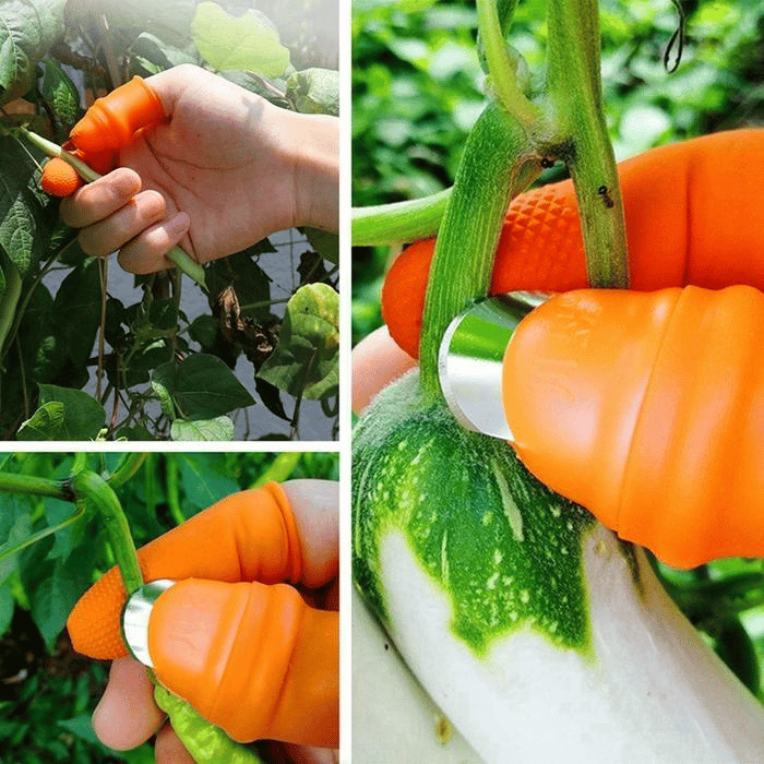 Harvesting Thumb Knife